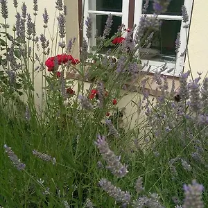 Im Einhornhaus Apartamento